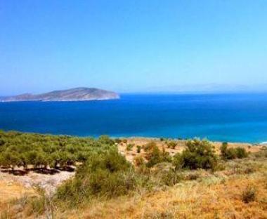 Rhodos - okolí vesnice Tholos