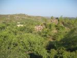 Rhodos - údolí Petaloudes