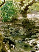 Ostrov Rhodos a příroda